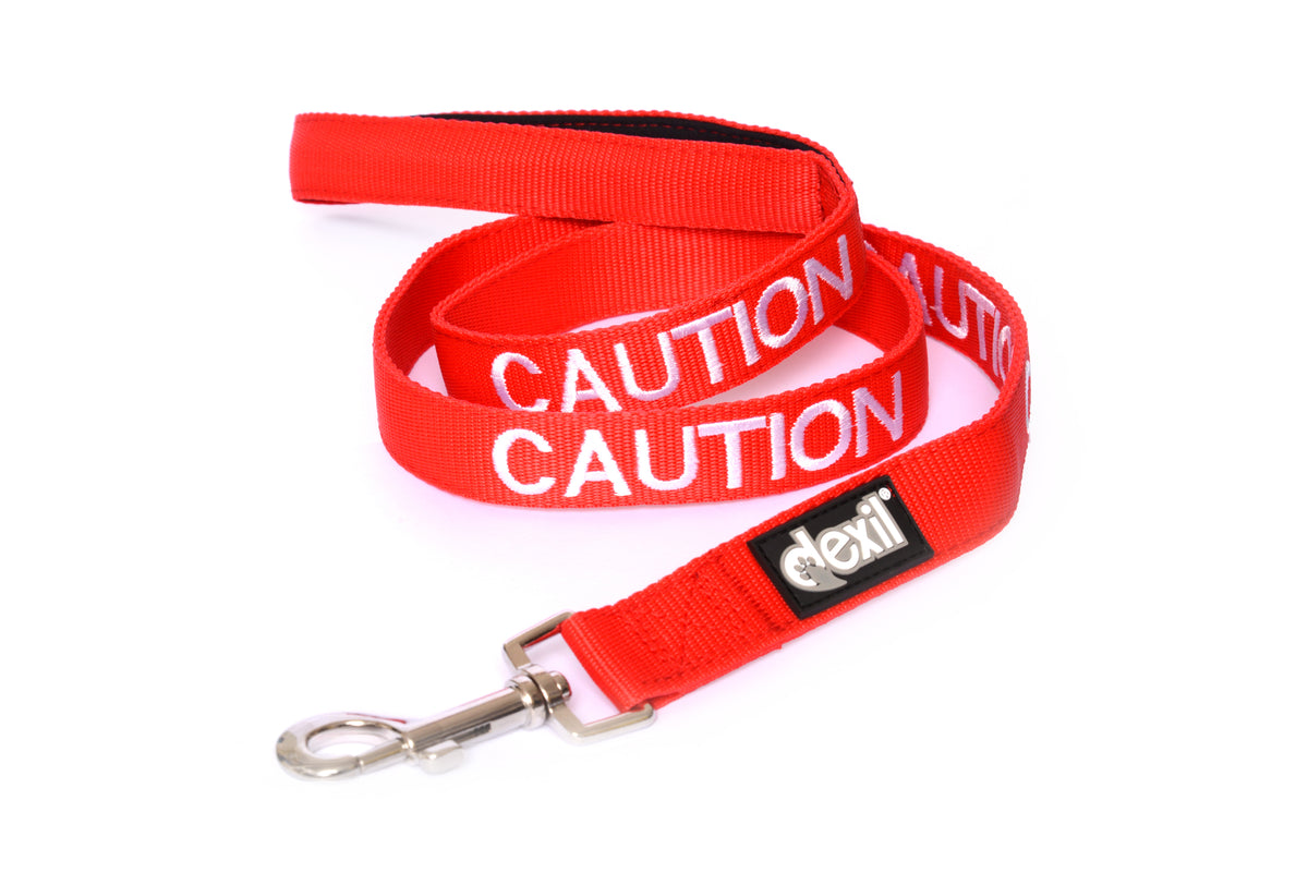 Dog warning leads best sale