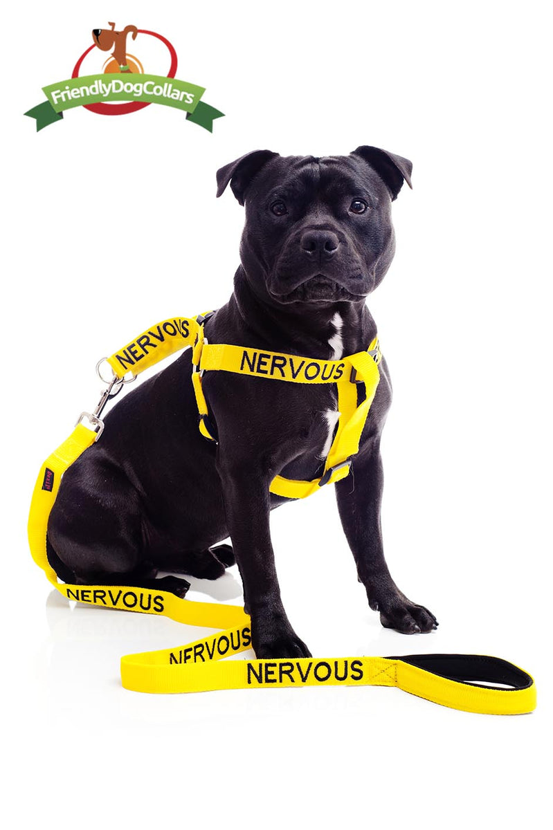 Nervous Dog Lead and Strap Harness