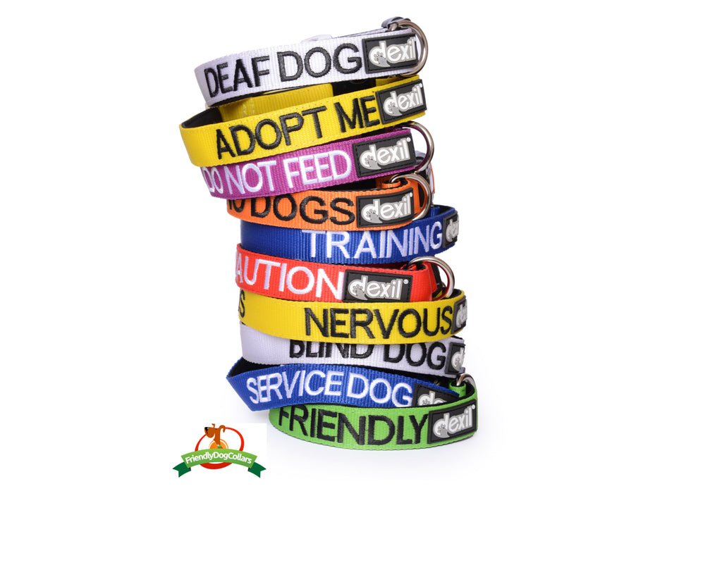 Friendly Dog Collars December offer for Dog Collars