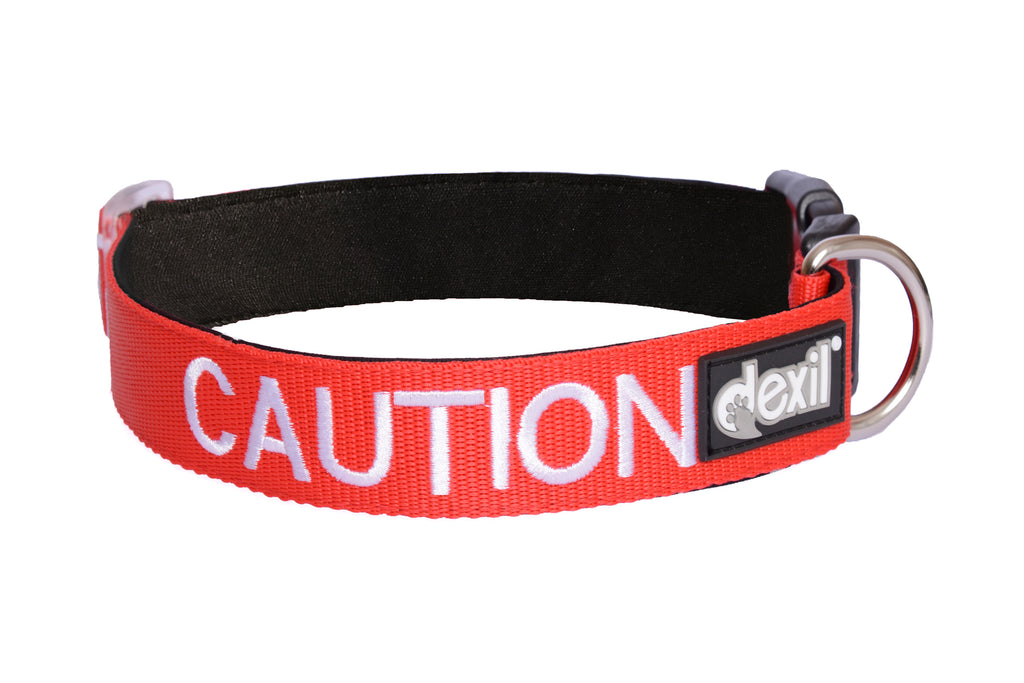 caution-medium-collar-2