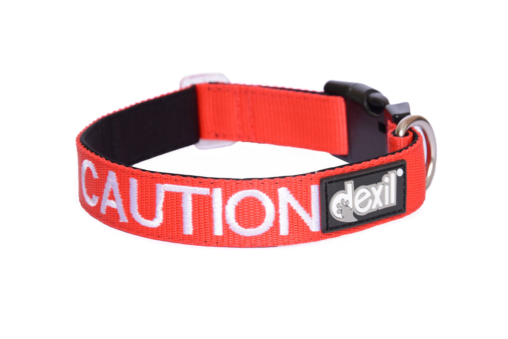 caution-small-collar-2
