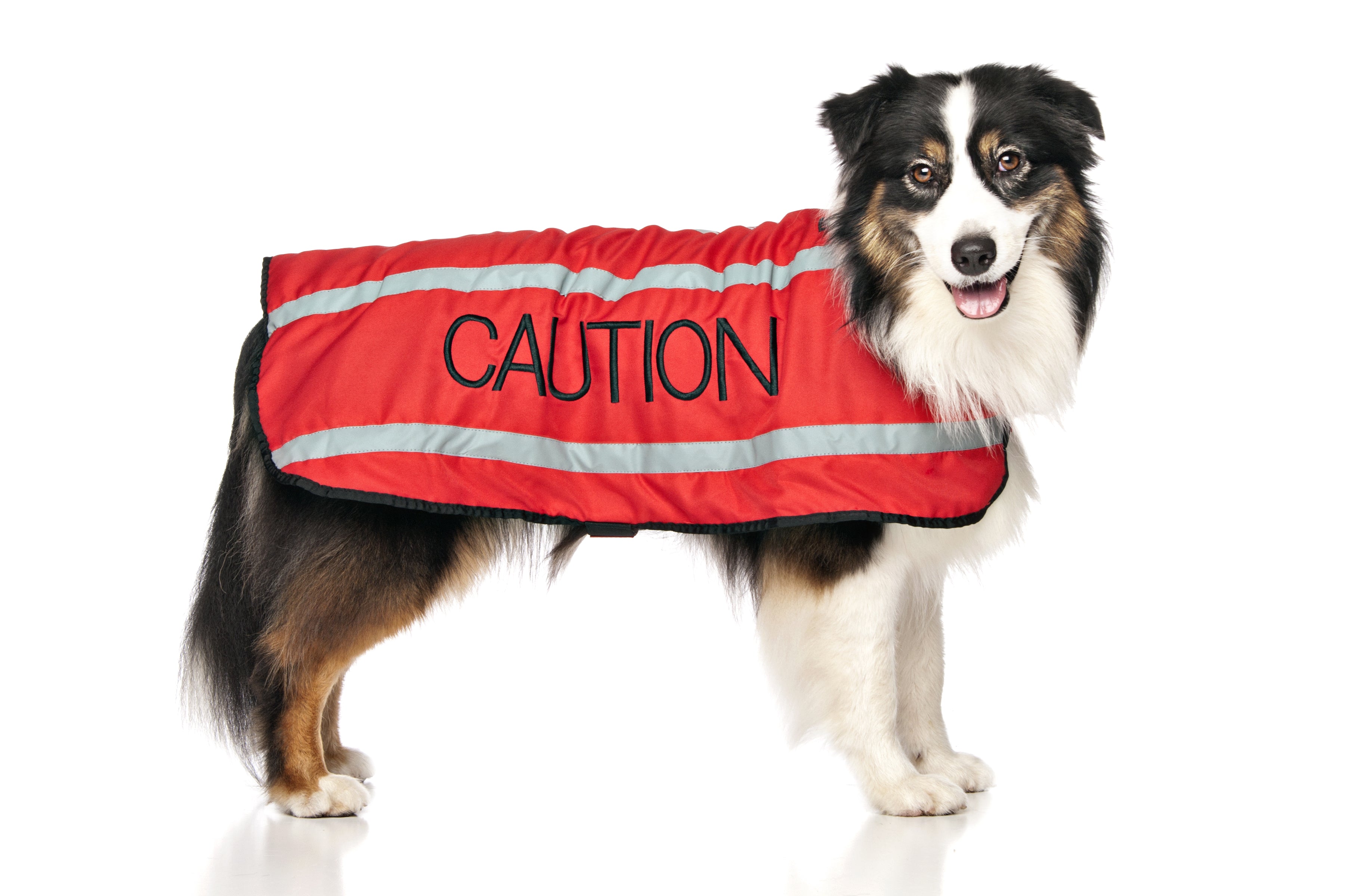 Nervous hot sale dog jacket