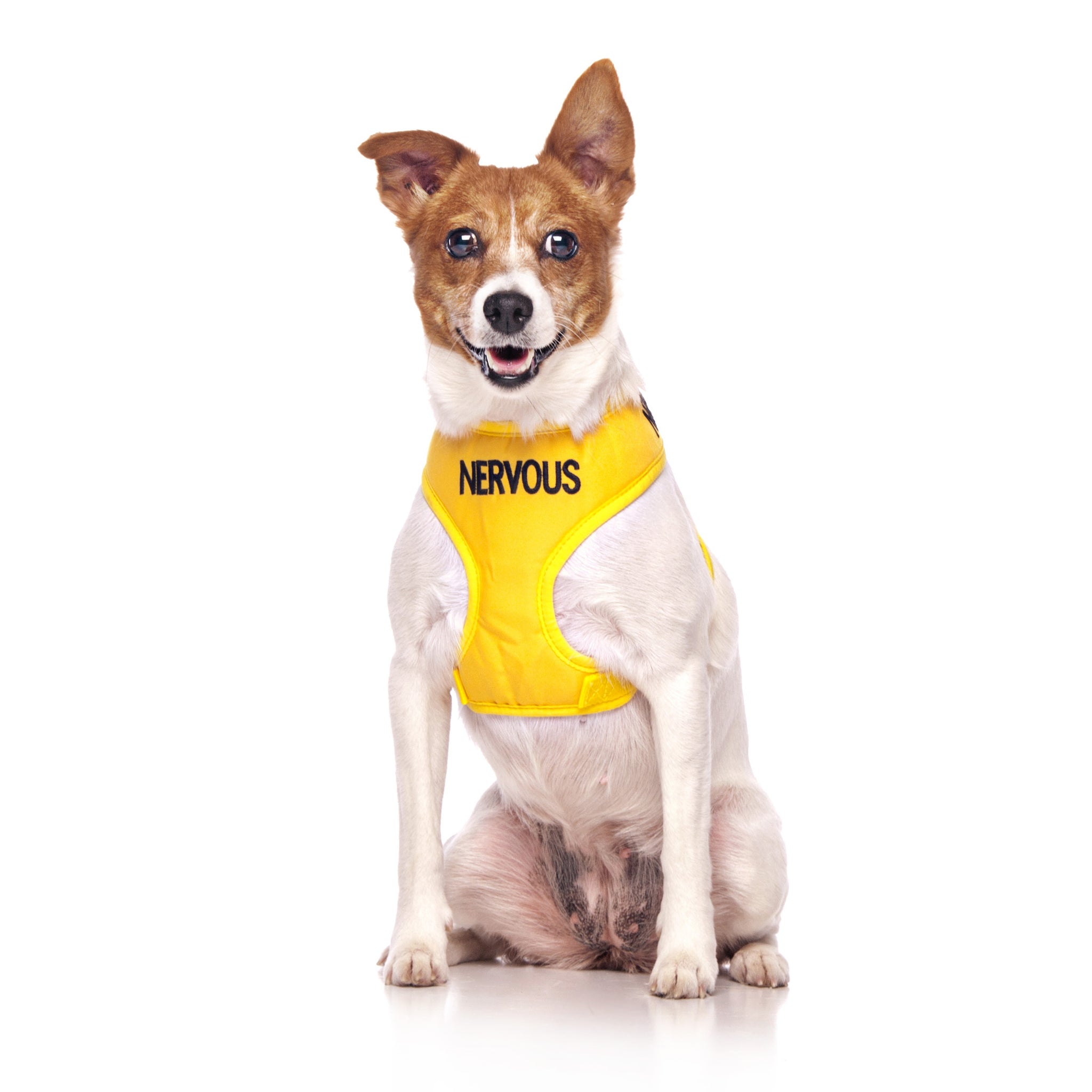 Nervous Dog Vest Harness friendlydogcollars