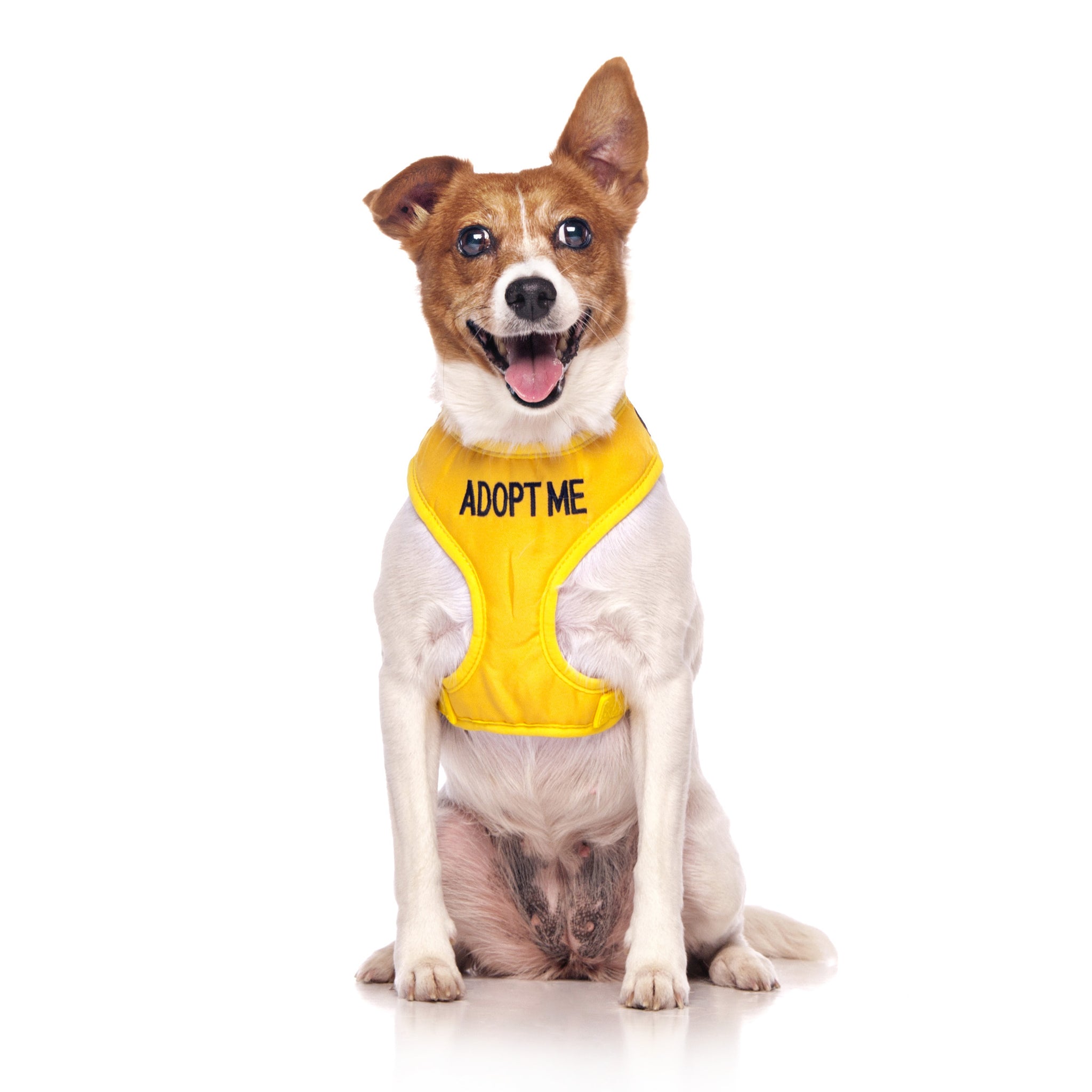 Adopt Me Vest Harness