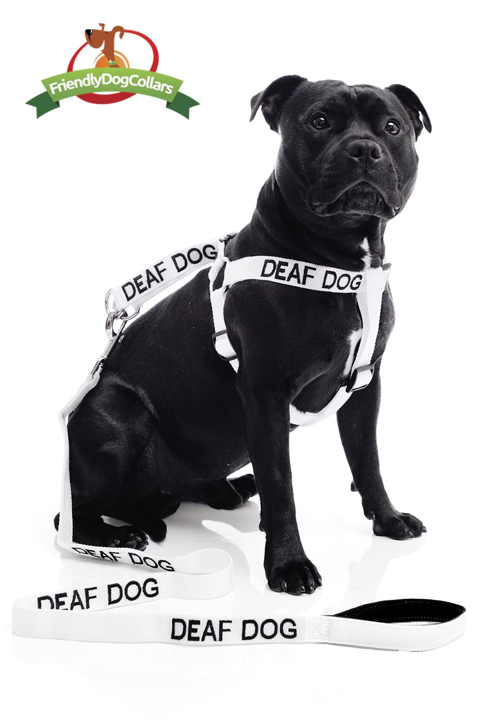 I am deaf dog harness best sale