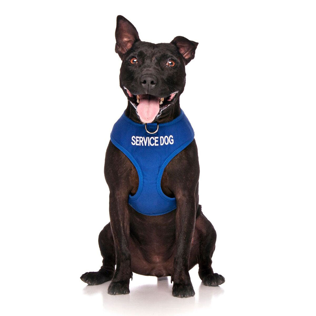 Service Dog Vest Harness – friendlydogcollars